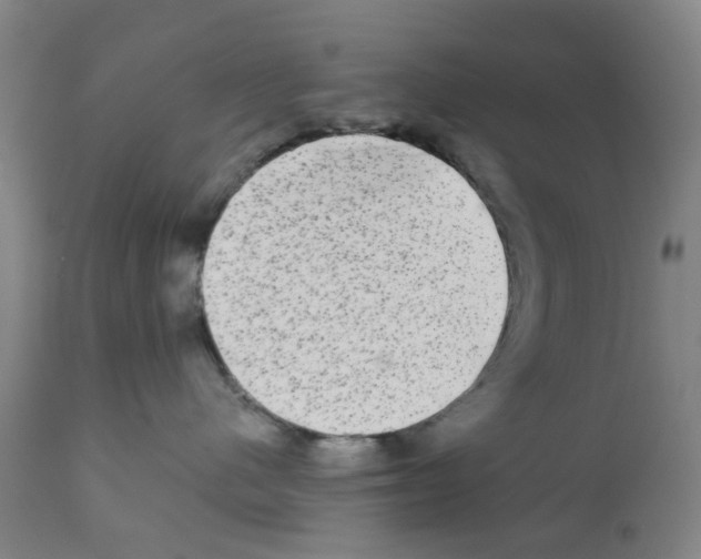 X0000112100480200909151204