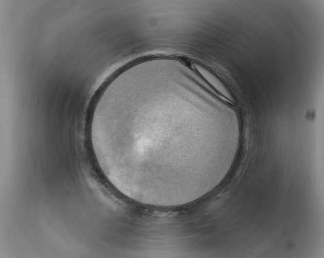 X0000112100484200909151203
