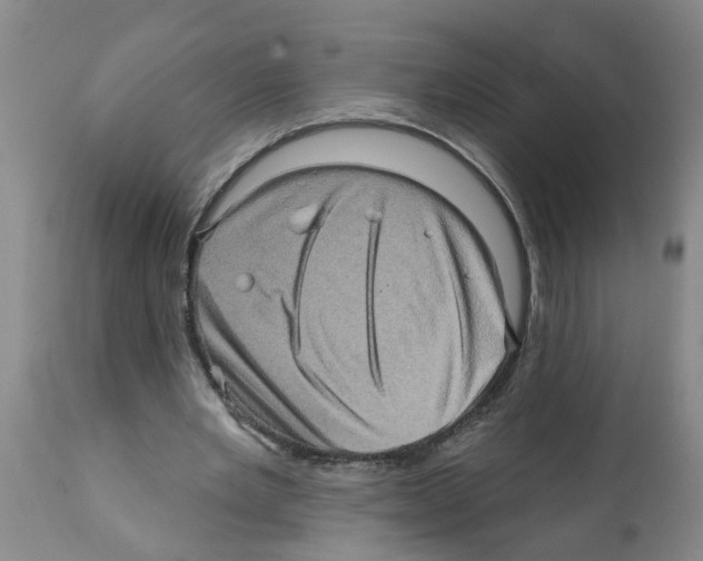 X0000112100485200909151203
