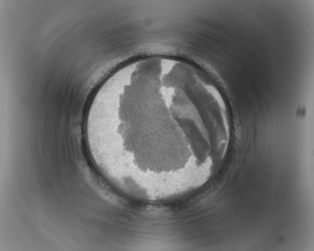 X0000112100487200909151203