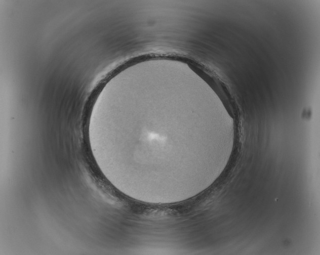 X0000112100488200909151203