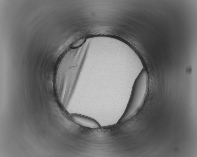 X0000112100489200909151203