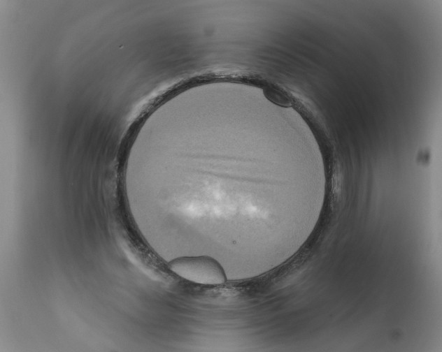 X0000112100492200909151203