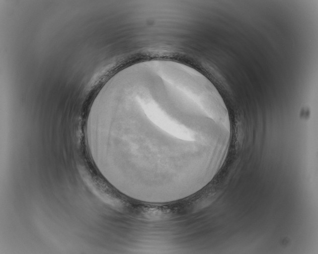 X0000112100494200909151203