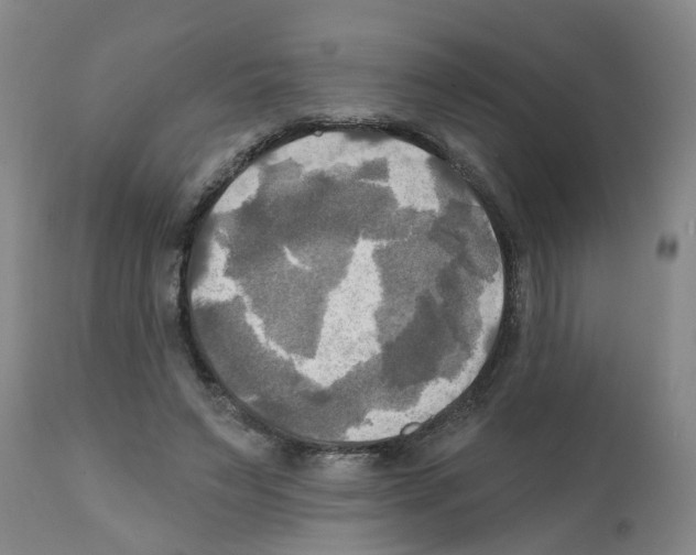 X0000112100495200909151203