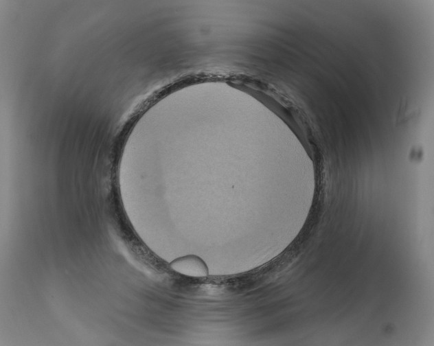 X0000112100496200909151203