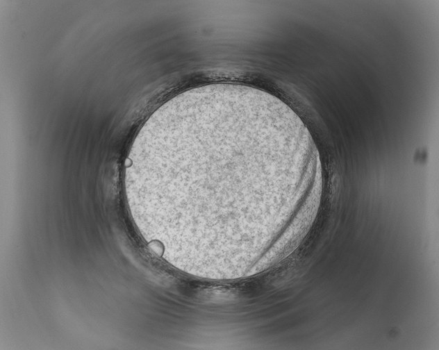 X0000112100498200909151203