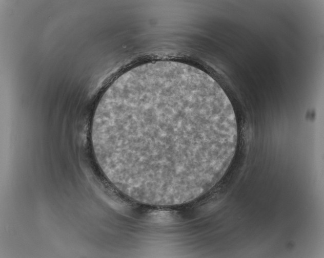 X0000112100499200909151203