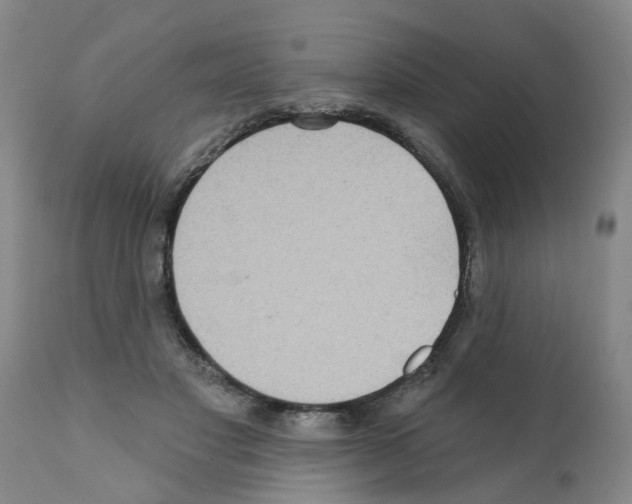 X0000112100501200909151203
