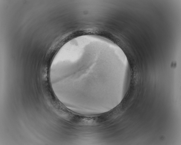 X0000112100502200909151203