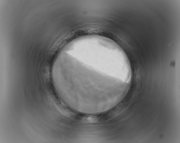 X0000112100506200909151203
