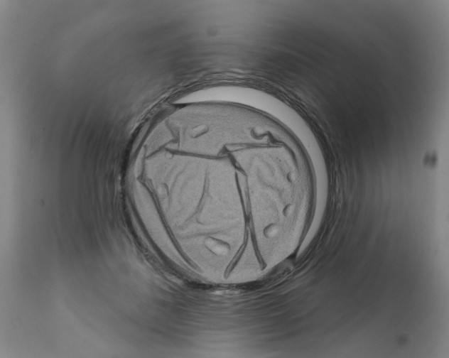 X0000112100508200909151203