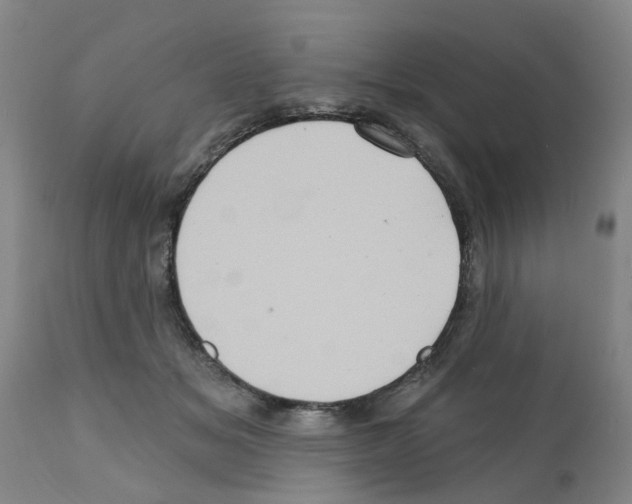 X0000112100509200909151203
