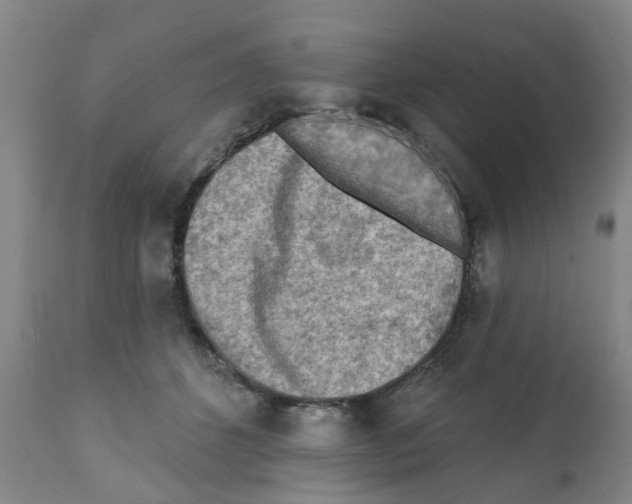 X0000112100512200909151203