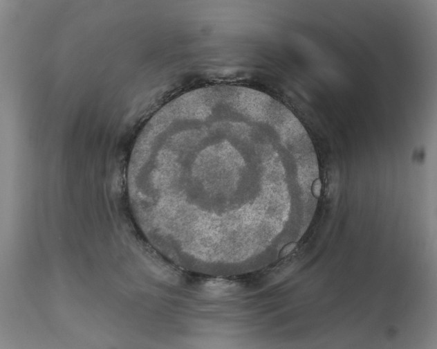 X0000112100515200909151203