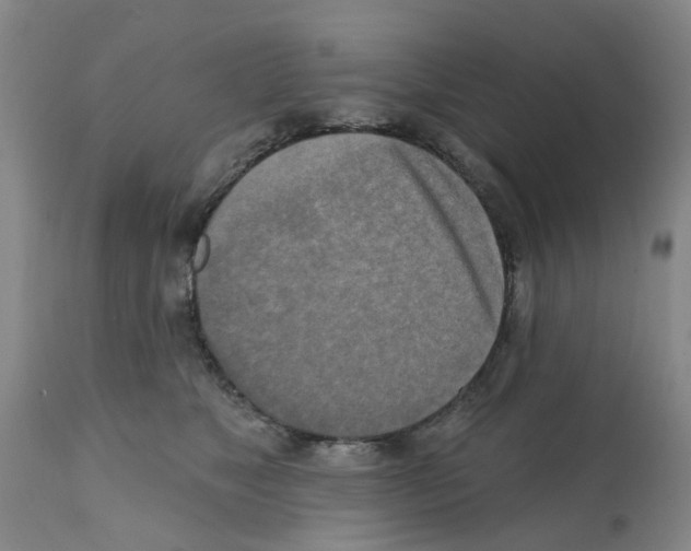X0000112100517200909151203