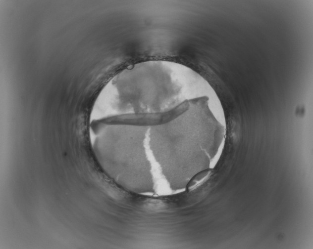 X0000112100519200909151203