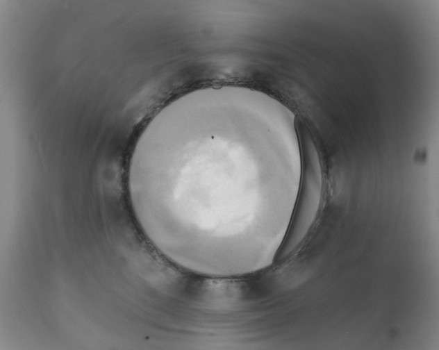 X0000112100520200909151203