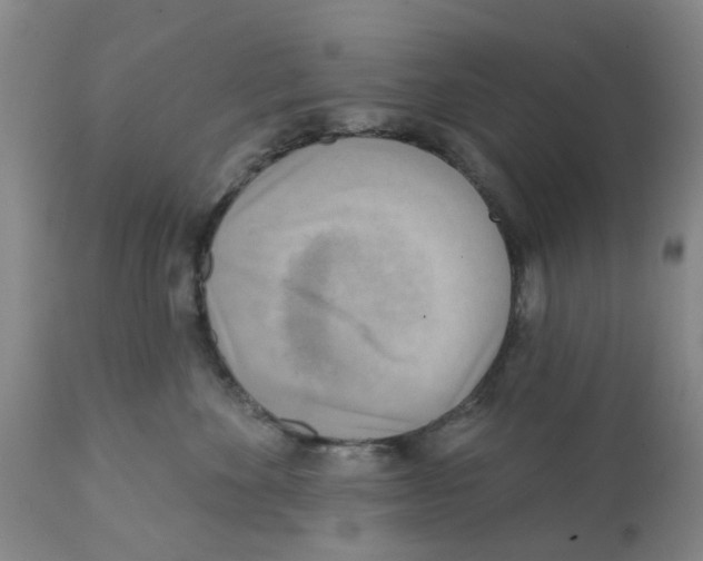 X0000112100524200909151203