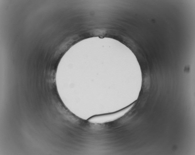 X0000112100525200909151203