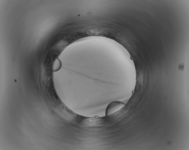 X0000112100526200909151203