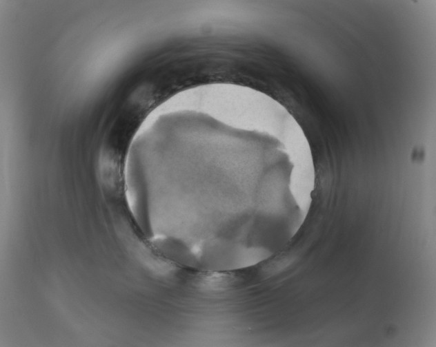 X0000112100527200909151203