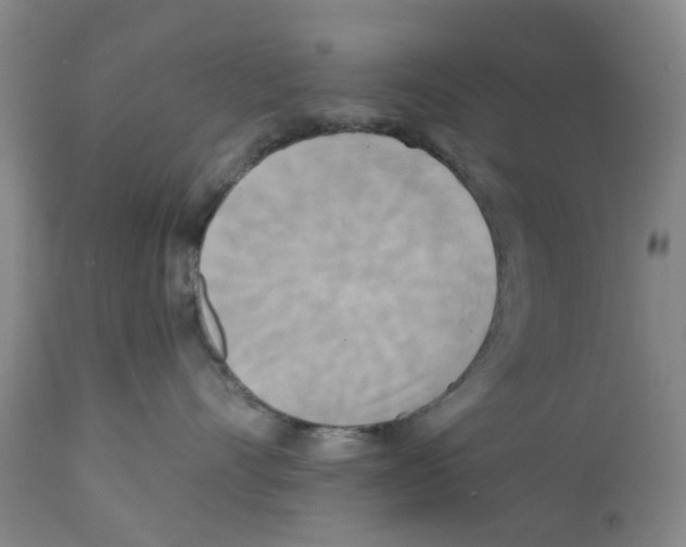 X0000112100528200909151203