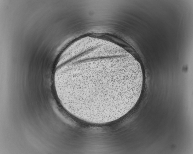 X0000112100530200909151202