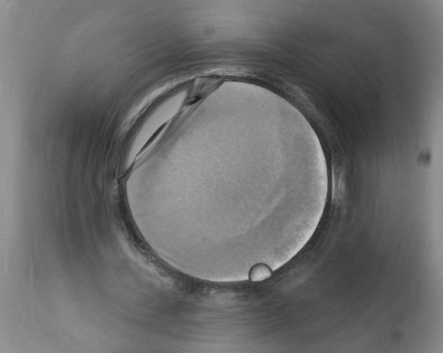 X0000112100531200909151202
