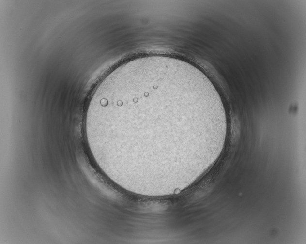 X0000112100533200909151202