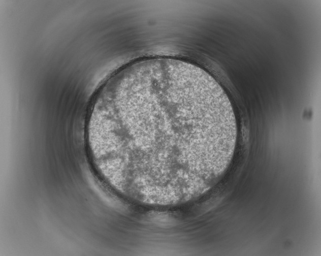 X0000112100534200909151202