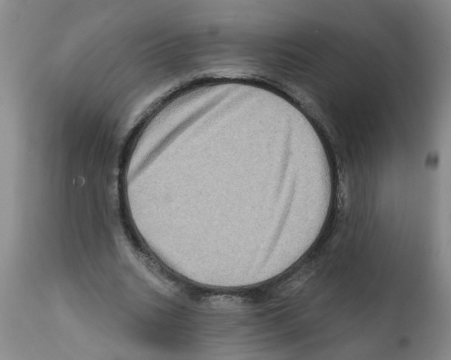 X0000112100535200909151202