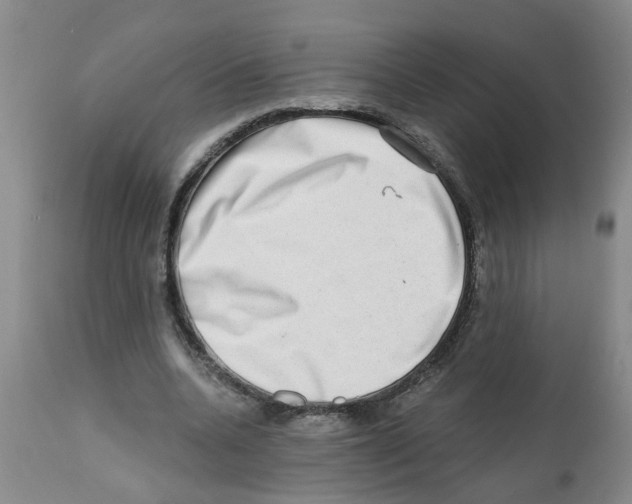 X0000112100536200909151202