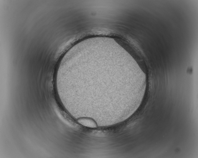X0000112100538200909151202