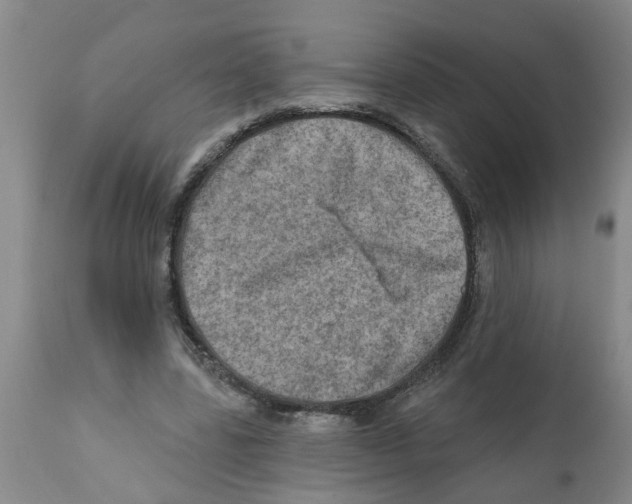 X0000112100539200909151202