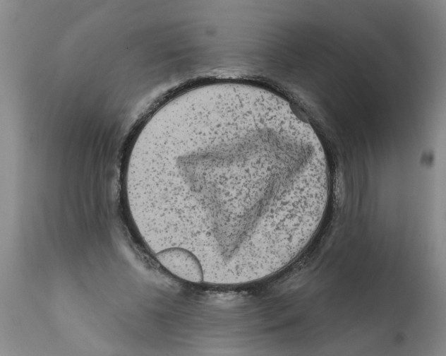 X0000112100540200909151202
