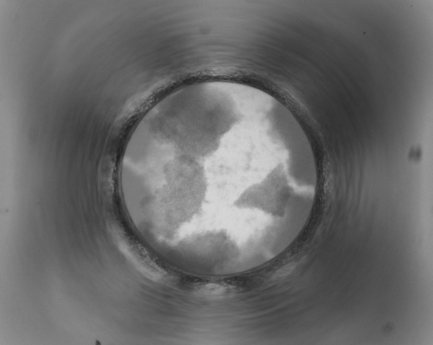X0000112100542200909151202