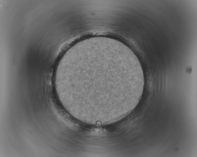 X0000112100543200909151202