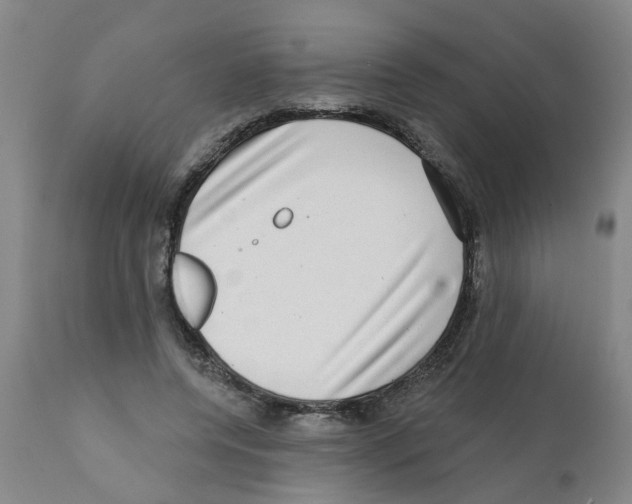 X0000112100544200909151202