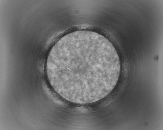X0000112100545200909151202