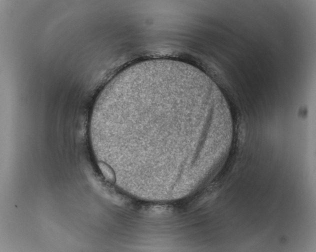 X0000112100546200909151202