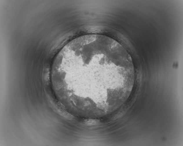 X0000112100549200909151202