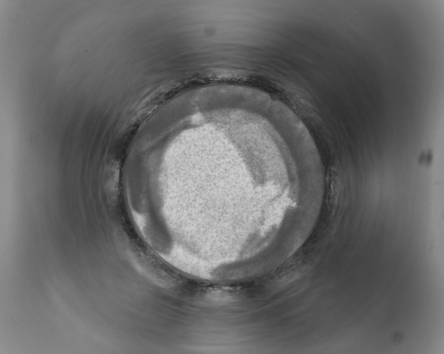 X0000112100550200909151202