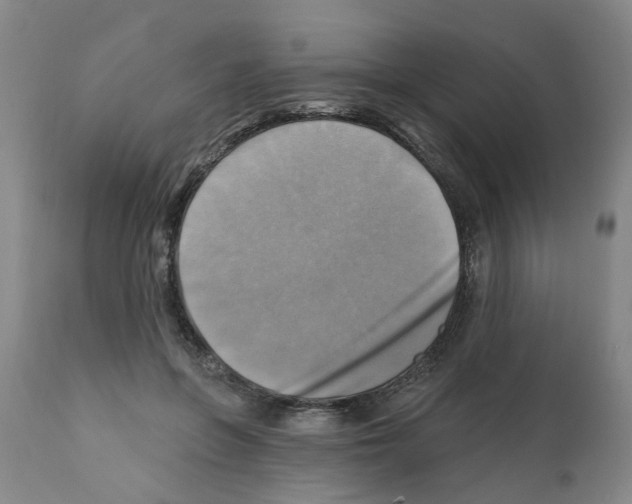 X0000112100551200909151202