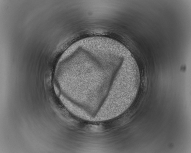 X0000112100552200909151202