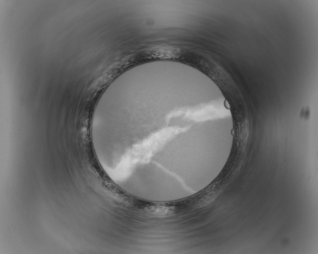 X0000112100553200909151202