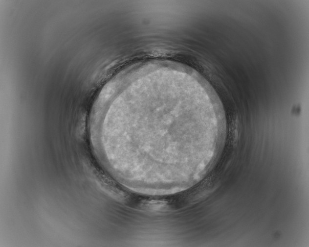 X0000112100554200909151202