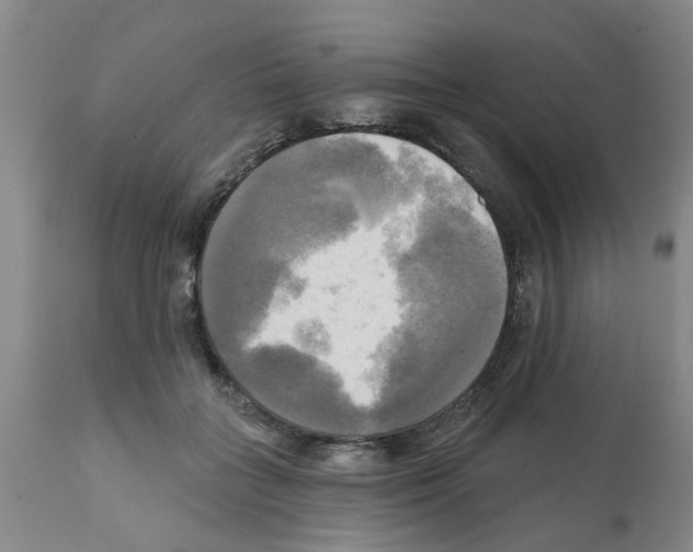 X0000112100555200909151202