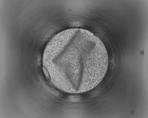 X0000112100556200909151202