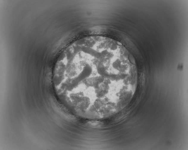 X0000112100557200909151202